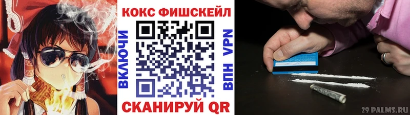 КОКАИН Fish Scale  ссылка на мегу   Томмот 