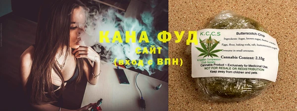 гидра Михайловка