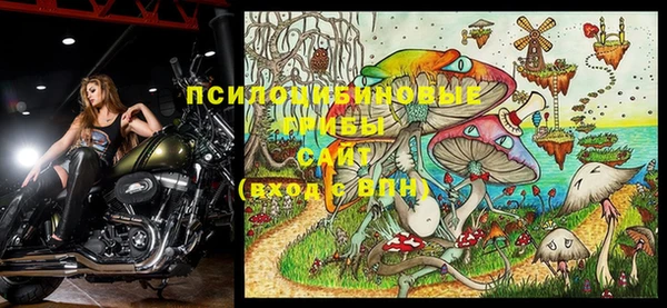 гидра Михайлов