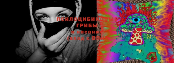 гидра Михайлов