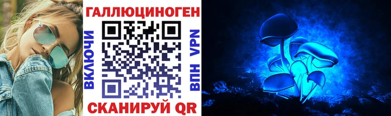 кракен маркетплейс  Томмот  Галлюциногенные грибы Cubensis 